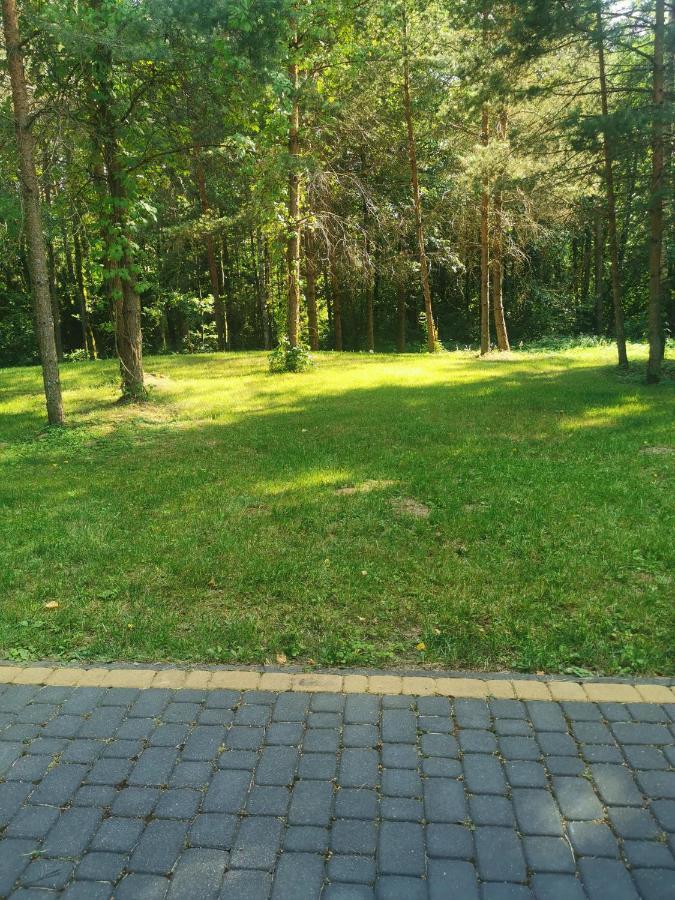 Villa Namelis Su Pirtele Druskininkai Exterior foto
