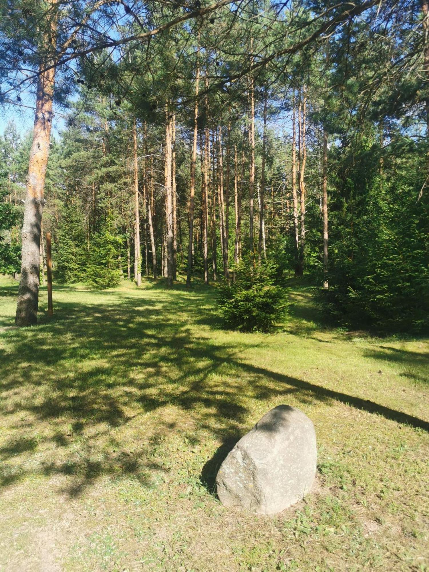 Villa Namelis Su Pirtele Druskininkai Exterior foto
